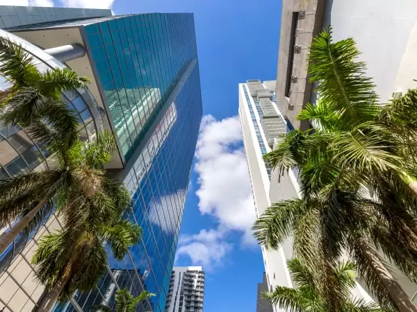 Fintech Harbor Consulting | Mauritius Company Formation