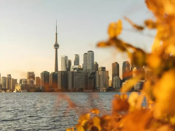 Fintech Harbor Consulting | Blog